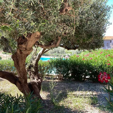 - Sleeps 3 & Swimming Pool Realmonte